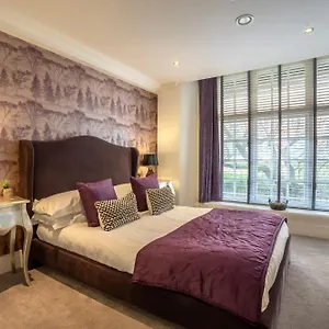31 Cocoa , York United Kingdom